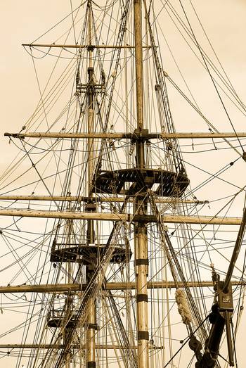 © Shutterstock