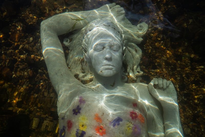 Image for the Tweet beginning: Love that locals are freaking