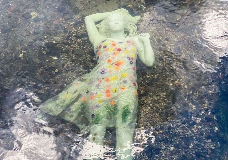 Image for the Tweet beginning: Love that locals are freaking