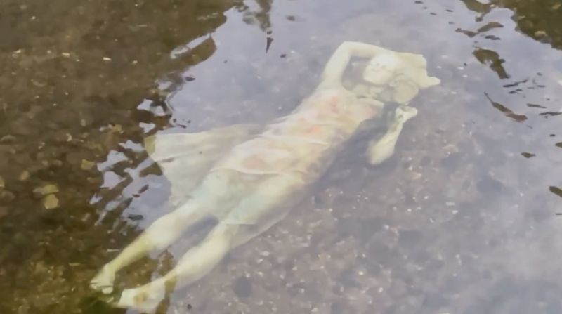 Image for the Tweet beginning: Love that locals are freaking