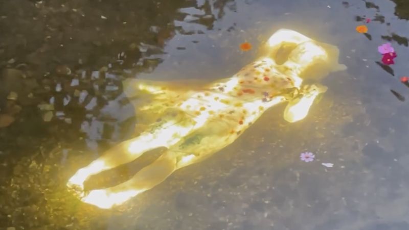 Image for the Tweet beginning: Love that locals are freaking